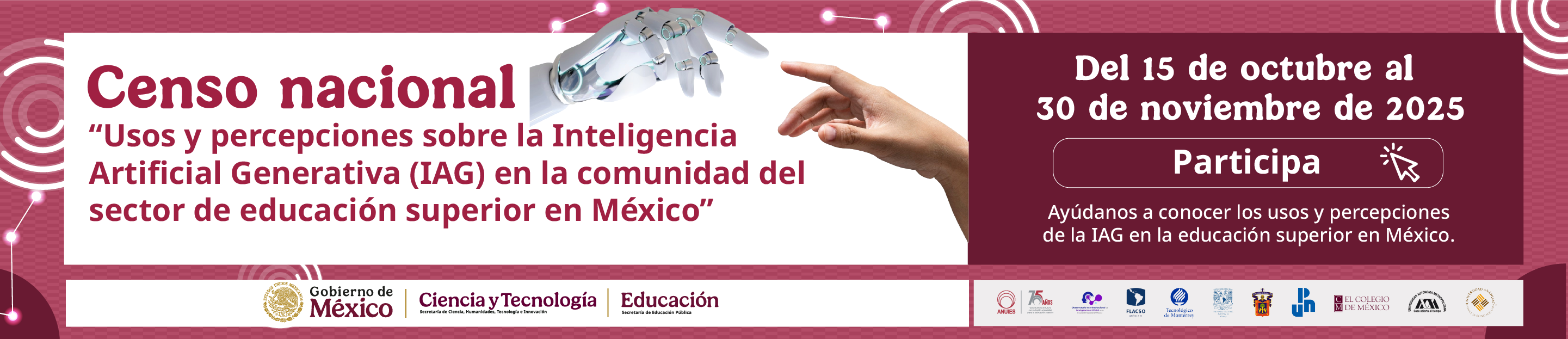 Banner Encuesta IA